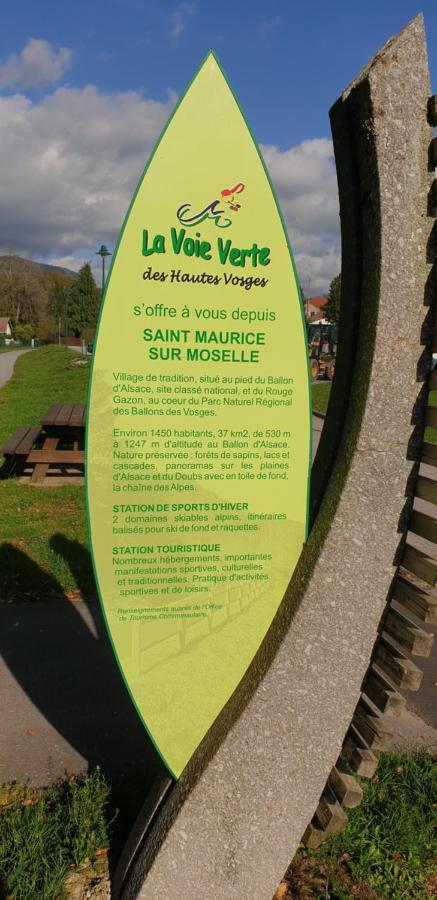 Au Bonheur Fait Maison Bed and Breakfast Saint-Maurice-sur-Moselle Εξωτερικό φωτογραφία